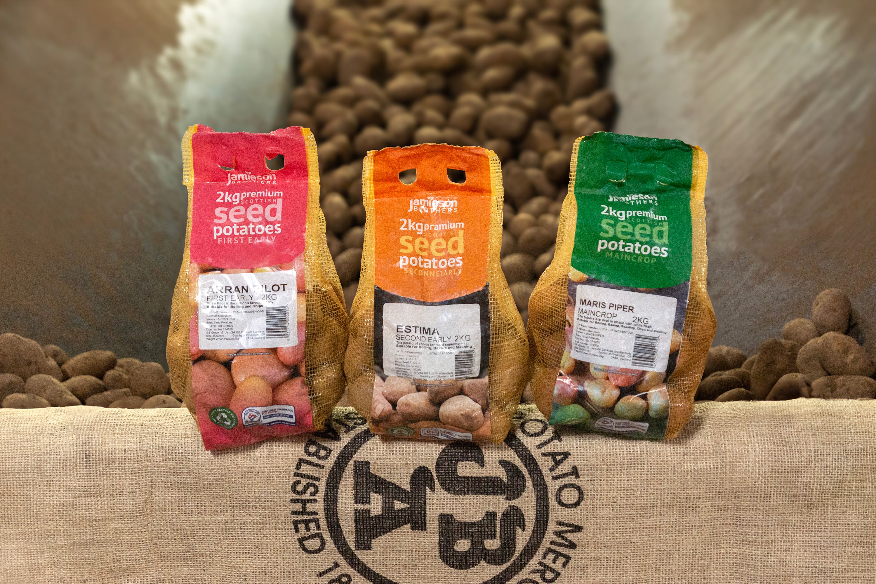 Seed Potato Bundle - 6 Varieties, 12kg Total (Red Duke of York, Rocket, Charlotte, Wilja, Desiree & Maris Piper) - First Early, Second Early & Maincrop Potatoes for a Full Season Harvest