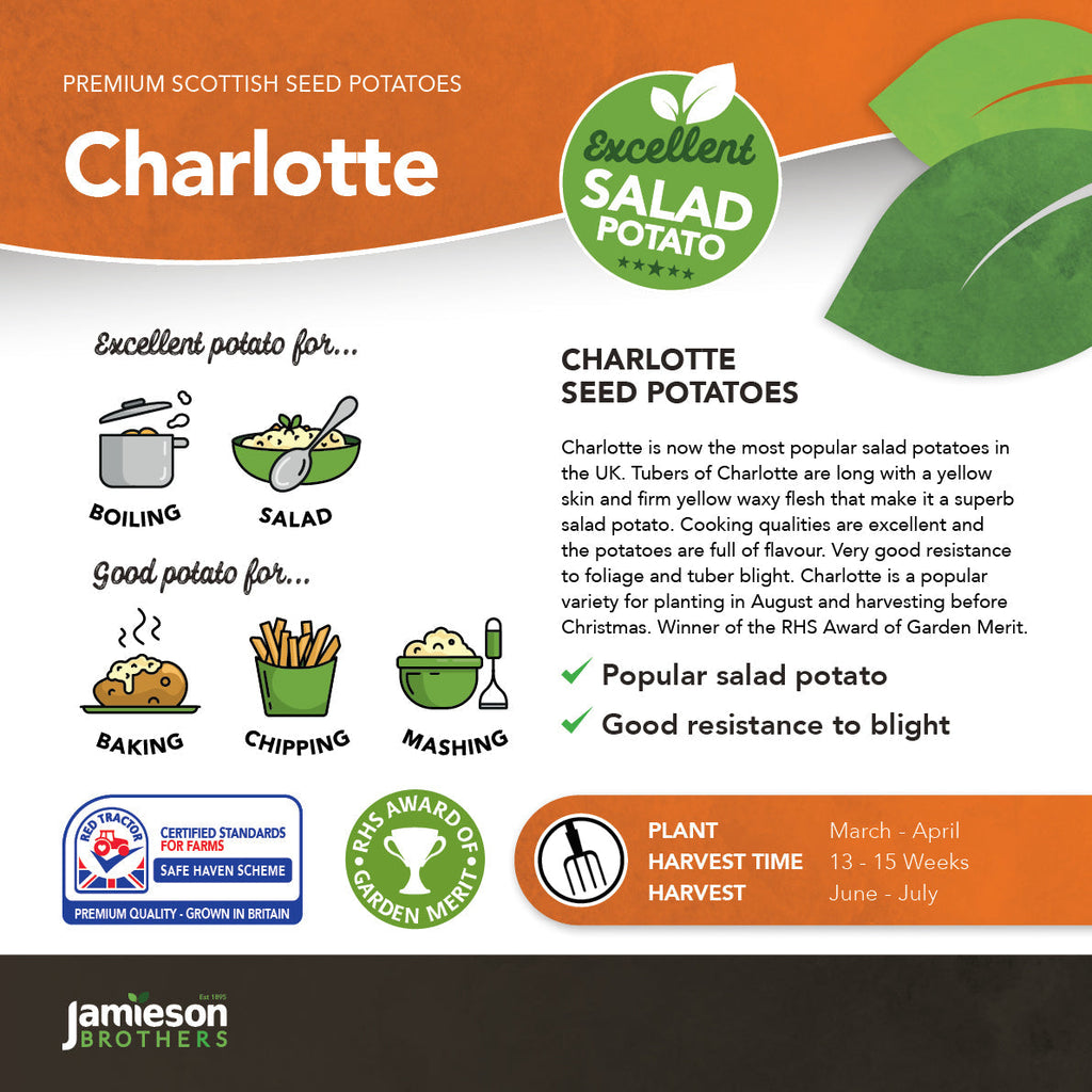 Charlotte Seed Potatoes