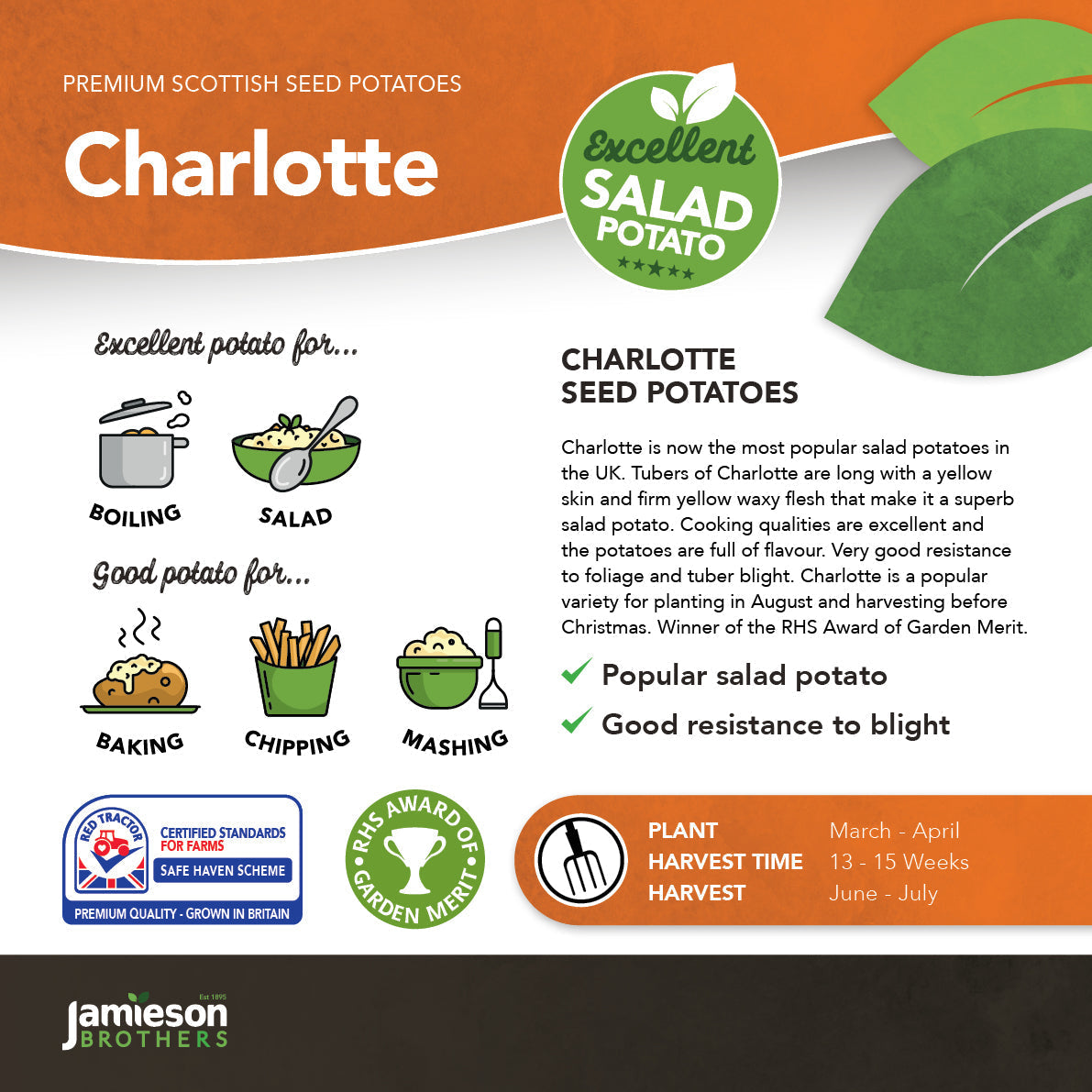 Charlotte Seed Potatoes
