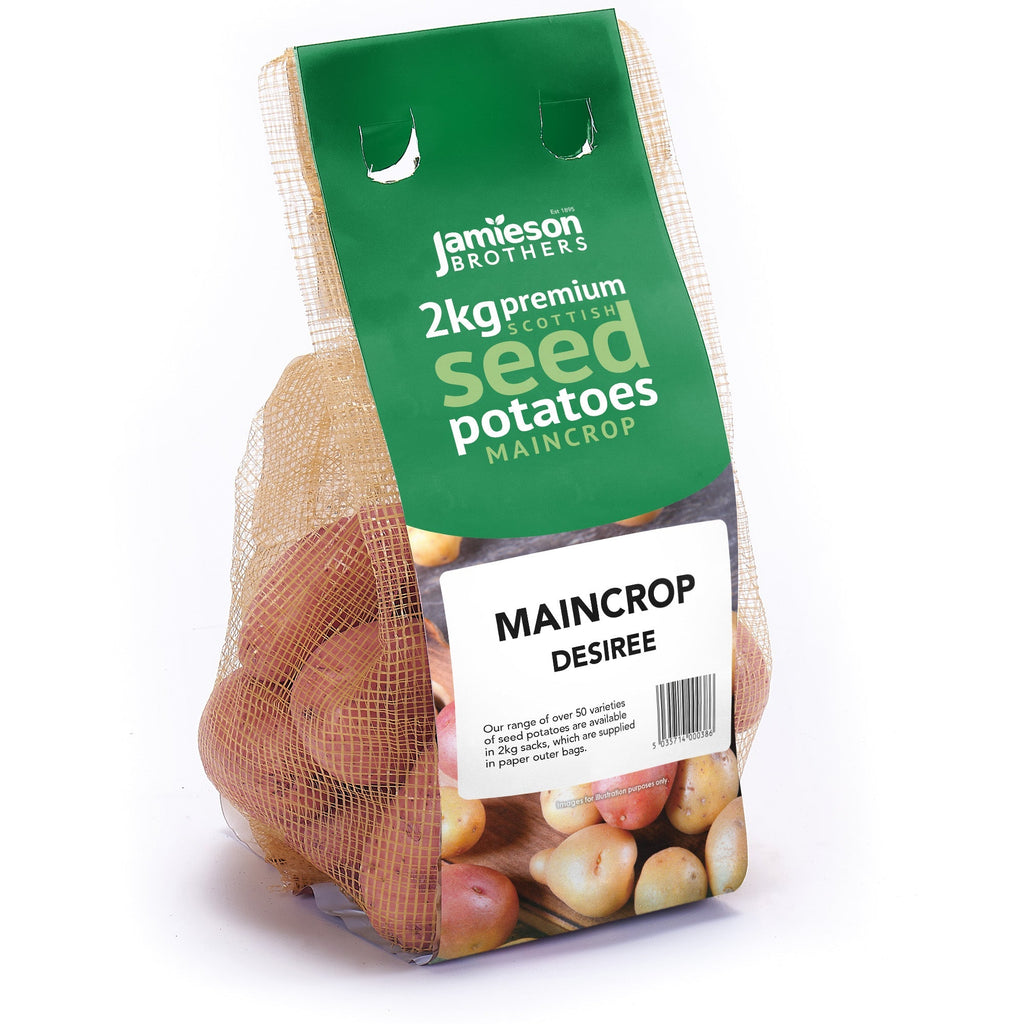 Desiree Seed Potatoes