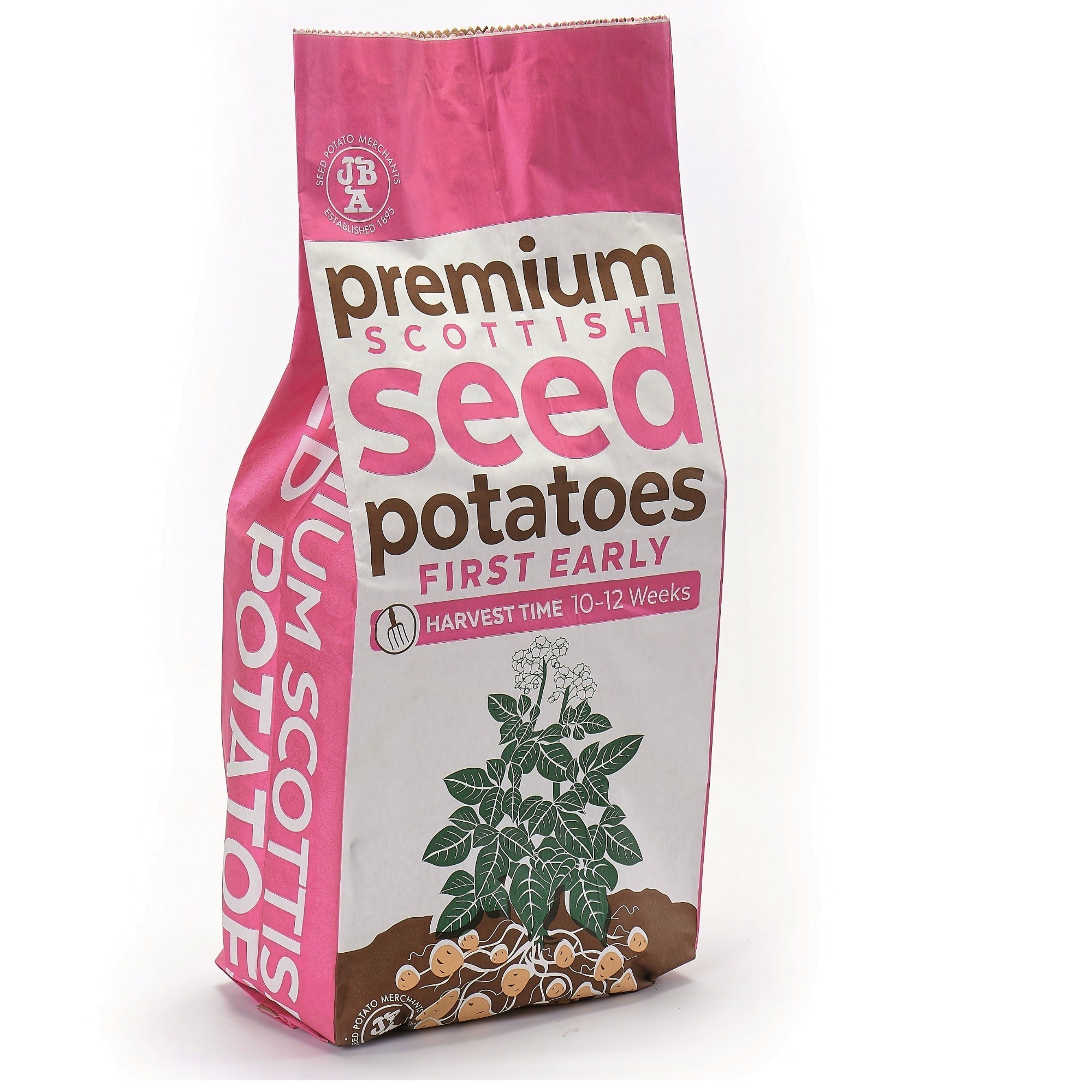 Duke of York Seed Potatoes