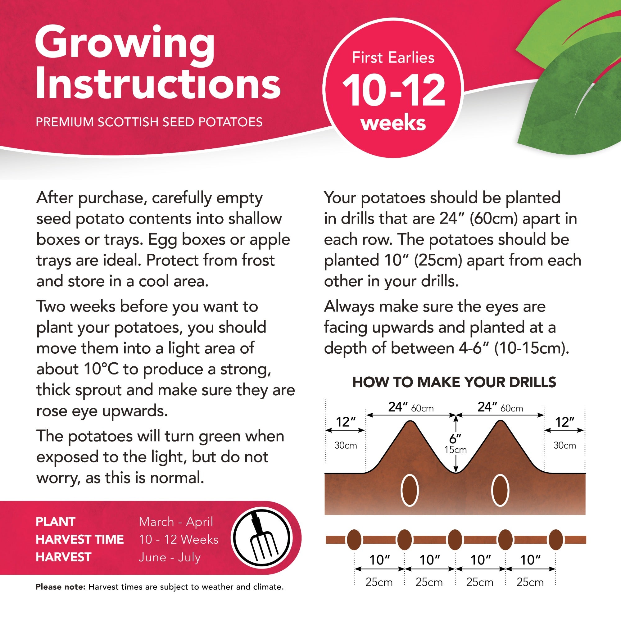 Pentland Javelin Seed Potatoes