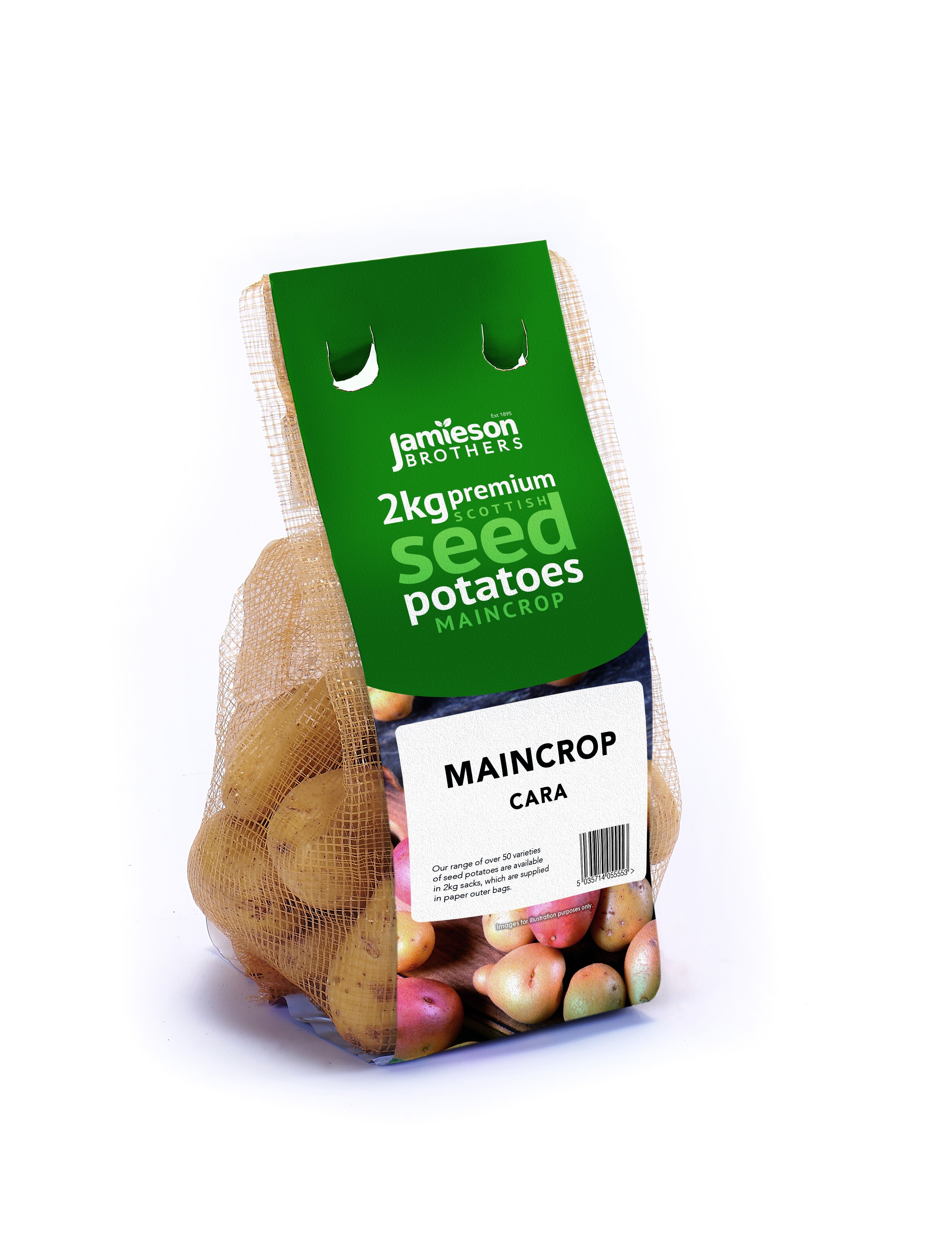 Cara Seed Potatoes