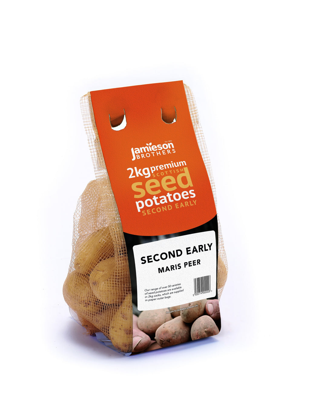 Maris Peer Seed Potatoes