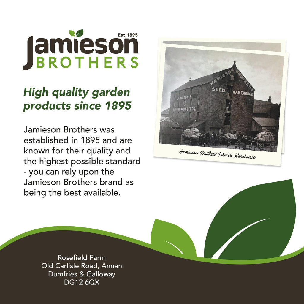 Peat Free Potato Compost with added John Innes 60L By Jamieson Brothers