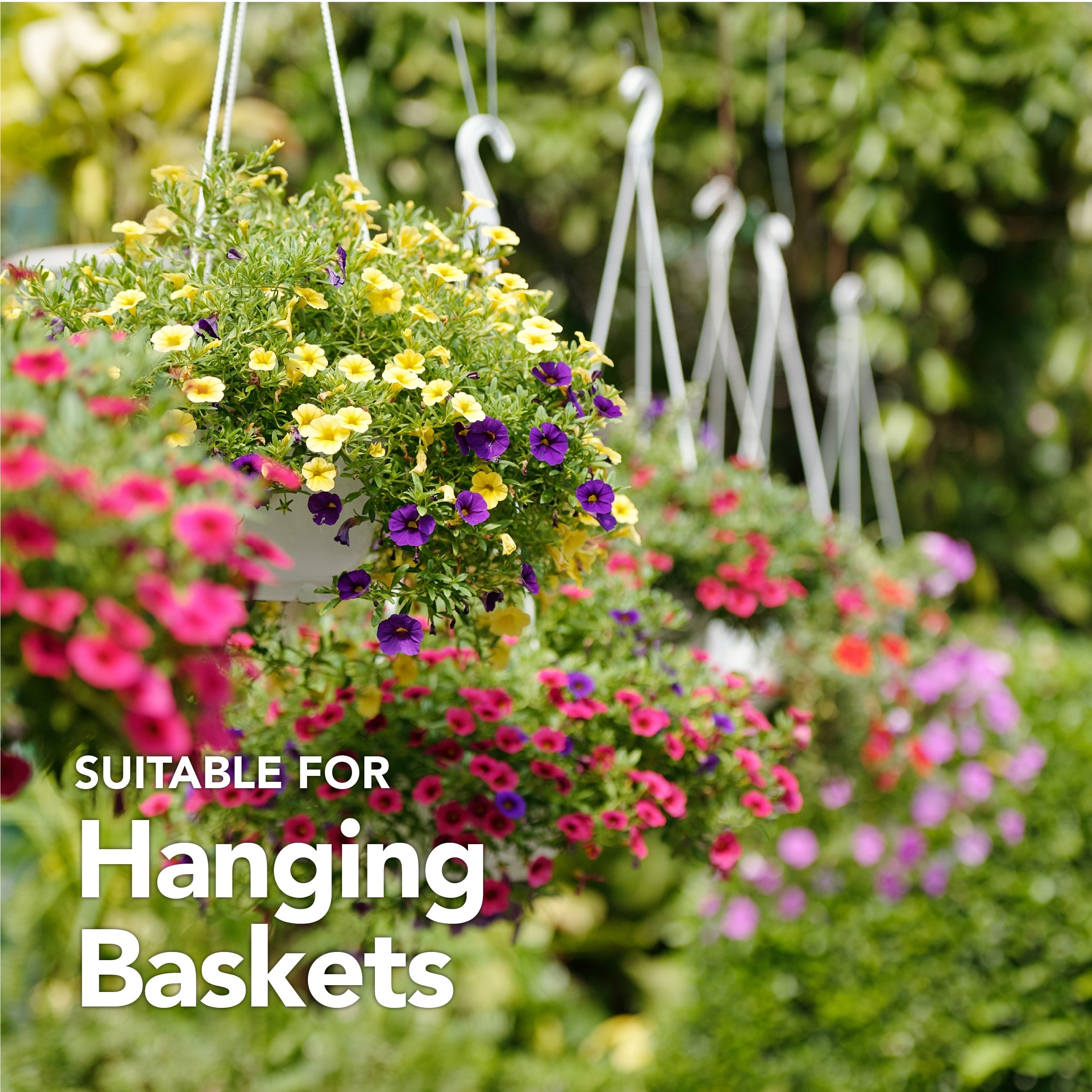 Hanging Basket Compost 60L By Jamieson Brothers