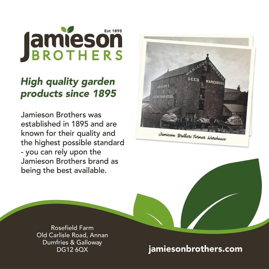 Peat Free Cumbrian Mix Multi Purpose Compost with Added John Innes 60L Professional Blend by Jamieson Brothers
