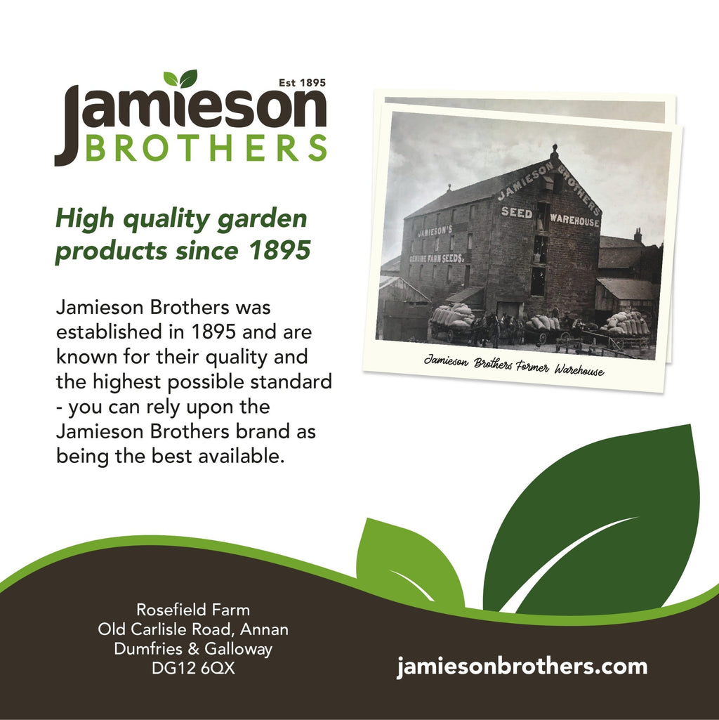 Potato Planting Compost with added John Innes 60L By Jamieson Brothers
