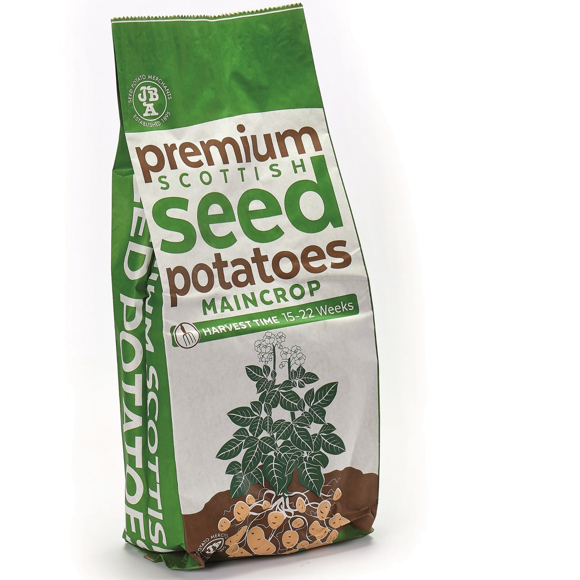 King Edward Seed Potatoes
