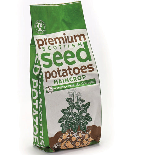 Desiree Seed Potatoes