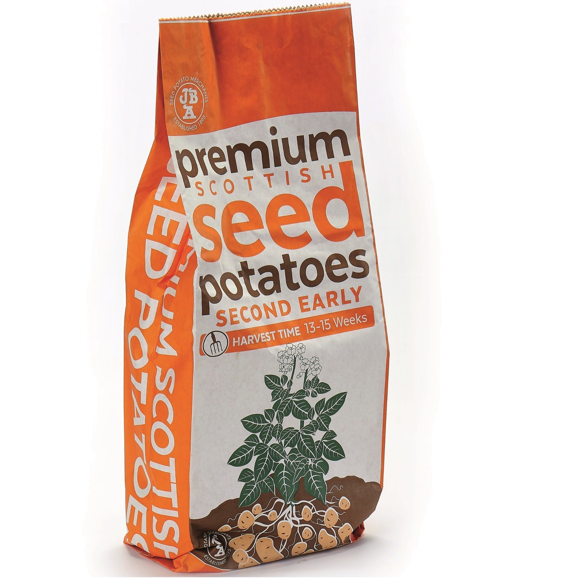 Charlotte Seed Potatoes