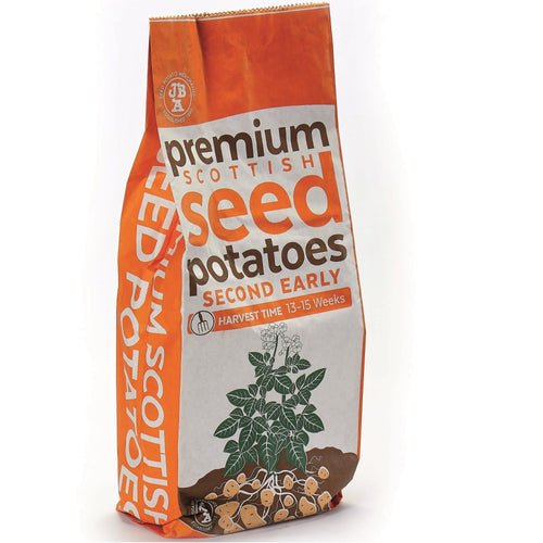 Charlotte Seed Potatoes