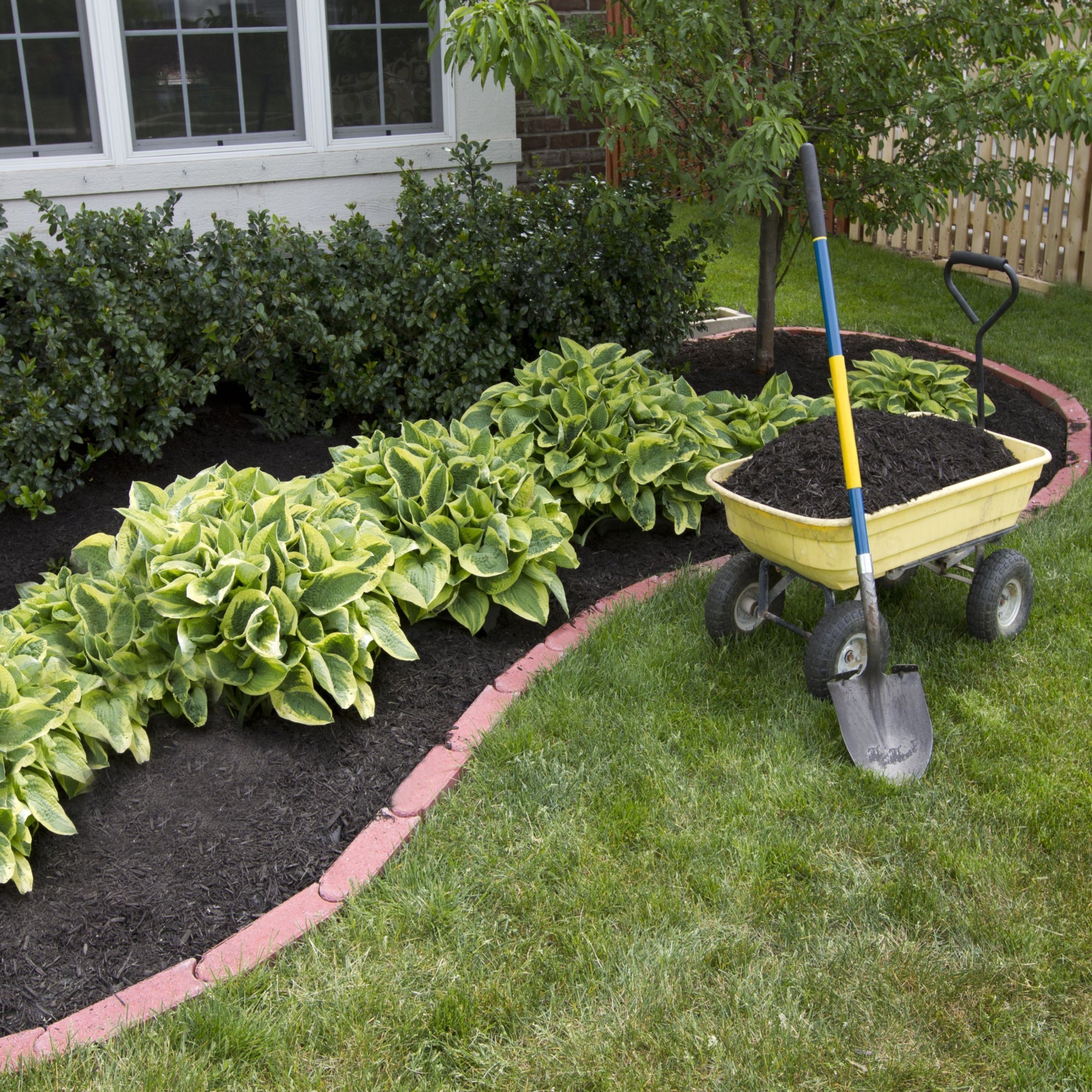 Vegegrow Top Soil 30L Bag by Jamieson Brothers