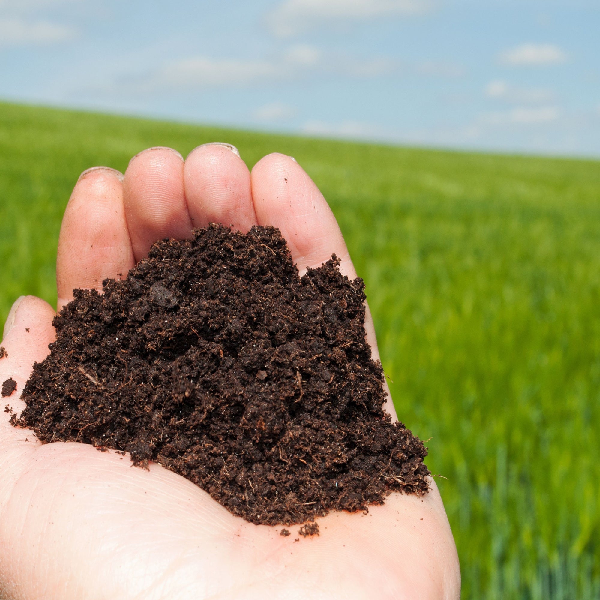 Lawnmix Top Soil 30L by Jamieson Brothers